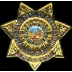 CALIFORNIA DEPARTMENT OF CORRECTIONS SEGEANT BADGE PIN